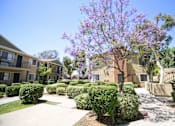 Thumbnail 20 of 20 - A tree with purple flowers is in the middle of a well-manicured lawn.