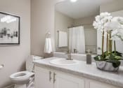 Thumbnail 15 of 33 - Bathroom interior at The Luxe of Southaven, Southaven