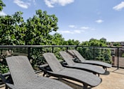 Thumbnail 47 of 50 - Rooftop patio at The Dorset with lounge chairs overlooking trees and surrounding neighborhood views