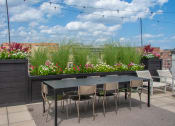 Thumbnail 36 of 37 - a patio with a table and chairs on a roof