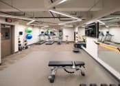 Thumbnail 13 of 41 - a fitness center with treadmills and weights in a gym