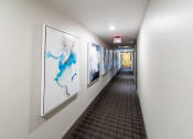 Thumbnail 20 of 41 - a hallway with paintings on the wall and a carpeted floor