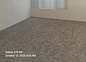Thumbnail 3 of 10 - A room with a carpeted floor and a window with blinds.