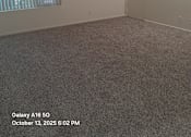 Thumbnail 2 of 10 - A room with a carpeted floor, a window with blinds, and a door.