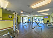 Thumbnail 24 of 40 - A gym with a variety of equipment including a squat rack, bench, and weights.