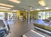 Thumbnail 26 of 40 - A gym with treadmills, weights, and exercise equipment.