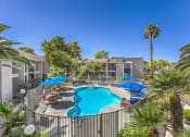 Thumbnail 18 of 20 - a swimming pool with umbrellas and chairs around it at a resort style community