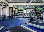 Thumbnail 18 of 28 - a gym with cardio machines and weights on the floor