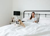 Thumbnail 15 of 26 - a woman sitting in bed with a dog and a laptop