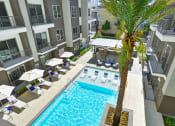 Thumbnail 8 of 17 - an overhead view of a swimming pool with a palm tree in the middle of it