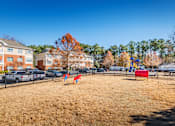 Thumbnail 26 of 29 - the preserve at ballantyne commons dog park