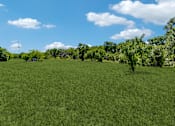 Thumbnail 38 of 62 - a grassy field with trees and a blue sky with clouds