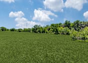 Thumbnail 58 of 62 - a field of green grass with trees and a blue sky with clouds