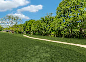 Thumbnail 39 of 62 - a path through the grass in a park with trees