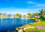 Thumbnail 21 of 42 - A serene lake with a fountain in the middle, surrounded by palm trees and buildings.