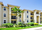 Thumbnail 17 of 33 - A row of apartment buildings with a palm tree in front.