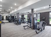 Thumbnail 19 of 25 - A gym with a variety of equipment including treadmills, weights, and exercise machines.