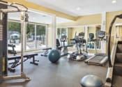 Thumbnail 12 of 16 - a gym with cardio equipment and weights in a building with windows