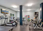 Thumbnail 8 of 17 - A gym with a variety of equipment including treadmills, weights, and exercise machines.