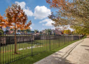 Thumbnail 31 of 42 - Dog Park