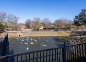Thumbnail 32 of 42 - Water Feature