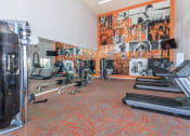 Thumbnail 13 of 23 - a gym with cardio equipment and a large mural on the wall