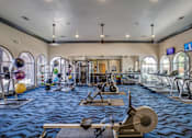 Thumbnail 13 of 25 - A gym with a variety of exercise equipment and a blue patterned carpet.