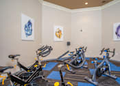 Thumbnail 15 of 25 - A room with exercise bikes and artwork on the wall.