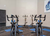 Thumbnail 3 of 25 - A room with exercise bikes and a painting on the wall.