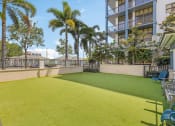 Thumbnail 22 of 25 - a yard with green grass and a building with palm trees