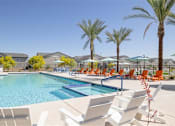 Thumbnail 18 of 21 - A pool surrounded by palm trees and lounge chairs.