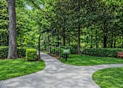 Thumbnail 20 of 22 - A walkway in a park with a bench on the right.