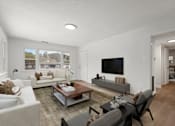Thumbnail 3 of 10 - the living room of an apartment with couches and a table
