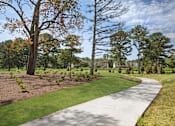 Thumbnail 45 of 47 - A pathway in a park with trees on either side.