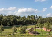 Thumbnail 28 of 43 - local tree tops near by our facility