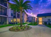 Thumbnail 23 of 23 - a palm tree in the center of a sidewalk in front of some apartments