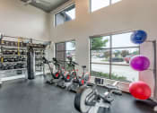 Thumbnail 29 of 41 - a gym with a row of exercise bikes and a punching bag