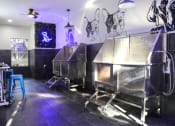 Thumbnail 14 of 28 - dog wash station with neon pet sign and wall decor