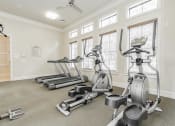 Thumbnail 29 of 41 - the gym with treadmills and ellipticals at the preserve at great neck apartments