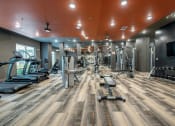 Thumbnail 11 of 22 - a gym with weights and cardio equipment and a tv
