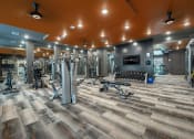 Thumbnail 12 of 22 - a gym with weights and cardio equipment in a building