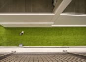 Thumbnail 27 of 30 - an overhead view of a room with green grass and a dog on the floor