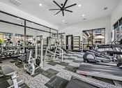 Thumbnail 14 of 21 - A gym with a variety of equipment including treadmills, weights, and exercise machines.