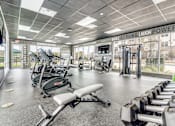 Thumbnail 20 of 34 - A gym with a variety of equipment including weights and a rowing machine.
