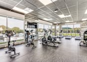 Thumbnail 22 of 34 - A gym with a variety of exercise equipment including treadmills, stationary bikes, and weight machines.