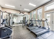 Thumbnail 22 of 27 - a room filled with rows of cardio equipment and windows