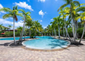 Thumbnail 4 of 44 - a large swimming pool surrounded by palm trees