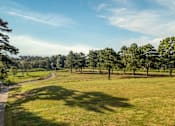 Thumbnail 47 of 47 - A winding path through a grassy field with trees on the side.