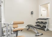 Thumbnail 33 of 41 - the gym with weights and chairs at the grove apartments