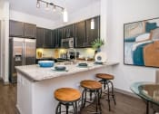 Thumbnail 1 of 45 - gourmet kitchen in houston texas apartments